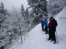 Schneeschuhwandern am Herzogenhorn