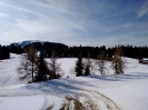 2020 Februar - Herzogenhorn Schneeschuh Wandern _16