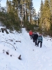 2020 Februar - Herzogenhorn Schneeschuh Wandern _21