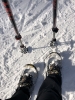 2020 Februar - Herzogenhorn Schneeschuh Wandern _24