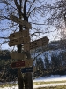 2020 Februar - Herzogenhorn Schneeschuh Wandern _3