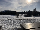 2020 Februar - Herzogenhorn Schneeschuh Wandern _43
