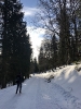 2020 Februar - Herzogenhorn Schneeschuh Wandern _50