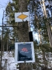 2020 Februar - Herzogenhorn Schneeschuh Wandern