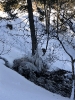 2020 Februar - Herzogenhorn Schneeschuh Wandern _54