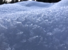 2020 Februar - Herzogenhorn Schneeschuh Wandern _56