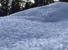 2020 Februar - Herzogenhorn Schneeschuh Wandern _57
