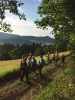 2022 Juni - Auswärts Nordic Walking Unterharmersbach_2