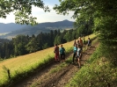 2022 Juni - Auswärts Nordic Walking Unterharmersbach_9