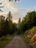 2022 August - Auswärts Nordic Walking in Reichenbach_3