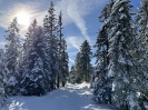 2022 Februar SchneeSchuhWandern rund um den Feldberg_30