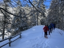 2022 Februar SchneeSchuhWandern rund um den Feldberg_35