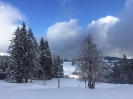 2022 Februar SchneeSchuhWandern rund um den Feldberg_37