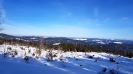 2022 Februar SchneeSchuhWandern rund um den Feldberg_43