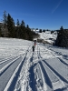 2022 Februar SchneeSchuhWandern rund um den Feldberg_58