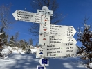 2022 Februar SchneeSchuhWandern rund um den Feldberg_63