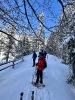 2022 Februar SchneeSchuhWandern rund um den Feldberg_67