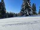 2023 Februar  - SchneeSchuhWandern