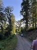8. Juli - Auswärts Walk in Gengenbach_5