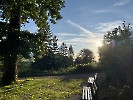 8. Juli - Auswärts Walk in Gengenbach_7