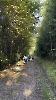 Auswärts Walk in Schwaibach Dantersbach_1