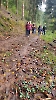 2024 Oktober - Blätterwanderung_5