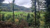 2024 Oktober - Blätterwanderung_9