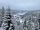 Februar 2025 - Schneeschuh Wandern am Feldberg_104