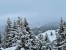 Februar 2025 - Schneeschuh Wandern am Feldberg_108