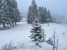 Februar 2025 - Schneeschuh Wandern am Feldberg_11