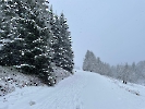 Februar 2025 - Schneeschuh Wandern am Feldberg_18