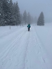 Februar 2025 - Schneeschuh Wandern am Feldberg_20