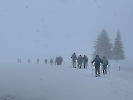 Februar 2025 - Schneeschuh Wandern am Feldberg_22