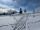 Februar 2025 - Schneeschuh Wandern am Feldberg_28