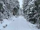 Februar 2025 - Schneeschuh Wandern am Feldberg_2