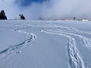 Februar 2025 - Schneeschuh Wandern am Feldberg_33
