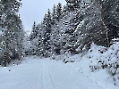 Februar 2025 - Schneeschuh Wandern am Feldberg_3