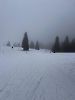 Februar 2025 - Schneeschuh Wandern am Feldberg_44
