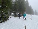 Februar 2025 - Schneeschuh Wandern am Feldberg_53