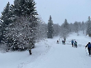 Februar 2025 - Schneeschuh Wandern am Feldberg_55
