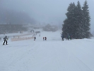 Februar 2025 - Schneeschuh Wandern am Feldberg_56