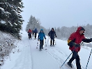 Februar 2025 - Schneeschuh Wandern am Feldberg_60