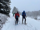 Februar 2025 - Schneeschuh Wandern am Feldberg_61