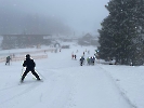Februar 2025 - Schneeschuh Wandern am Feldberg_63