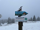 Februar 2025 - Schneeschuh Wandern am Feldberg_69