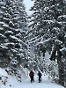 Februar 2025 - Schneeschuh Wandern am Feldberg_6