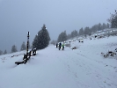 Februar 2025 - Schneeschuh Wandern am Feldberg_71