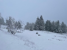 Februar 2025 - Schneeschuh Wandern am Feldberg_73