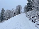 Februar 2025 - Schneeschuh Wandern am Feldberg_75