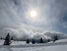 Februar 2025 - Schneeschuh Wandern am Feldberg_77
